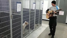 Chad Olds Singing to Shelter Dogs