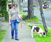 Dog Sniffing on Walk