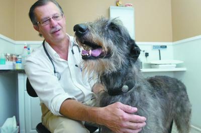 Dr. Robert Dove with Dog