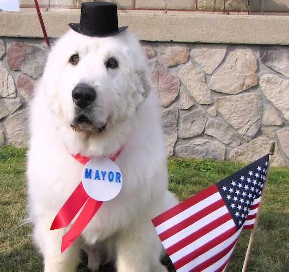 Mayor Duke