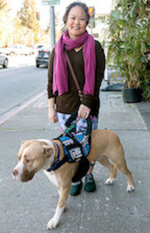 Fiona Gilbert Walking Koda