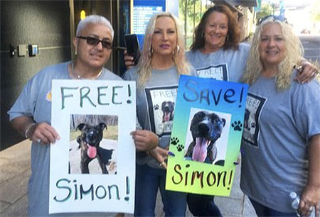 Dr. David Young explains his fight to get his dog Simon off of death row