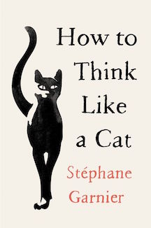 How To Think Like A Cat Book Cover