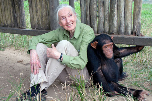 Dr. Jane Goodall is on Animal Radio