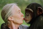 Dr. Goodall with Chimp