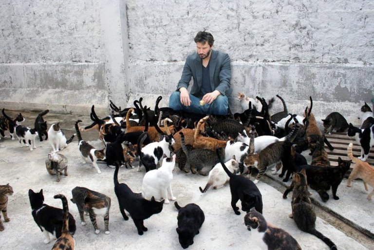 Keanu Reeves with Cats