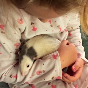 Child with Rat