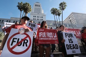 Los Angeles Bans Fur Sales