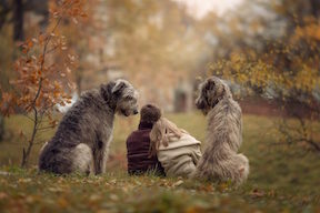 Couple with Large Dogs