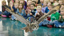 Peter Gros Showing Owl to Children