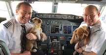 Pilots with Pups