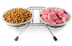 Processed Food vs Raw Dog Food