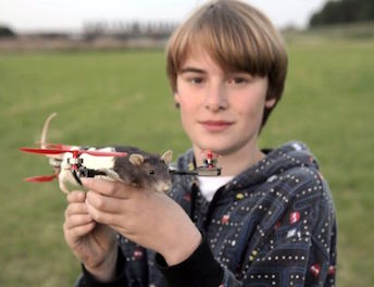 Rat Drone