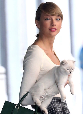 Taylor Swift with Cat