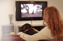 Woman Watching TV with Dog