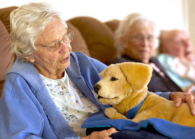 Robotic puppy helps those with Dementia