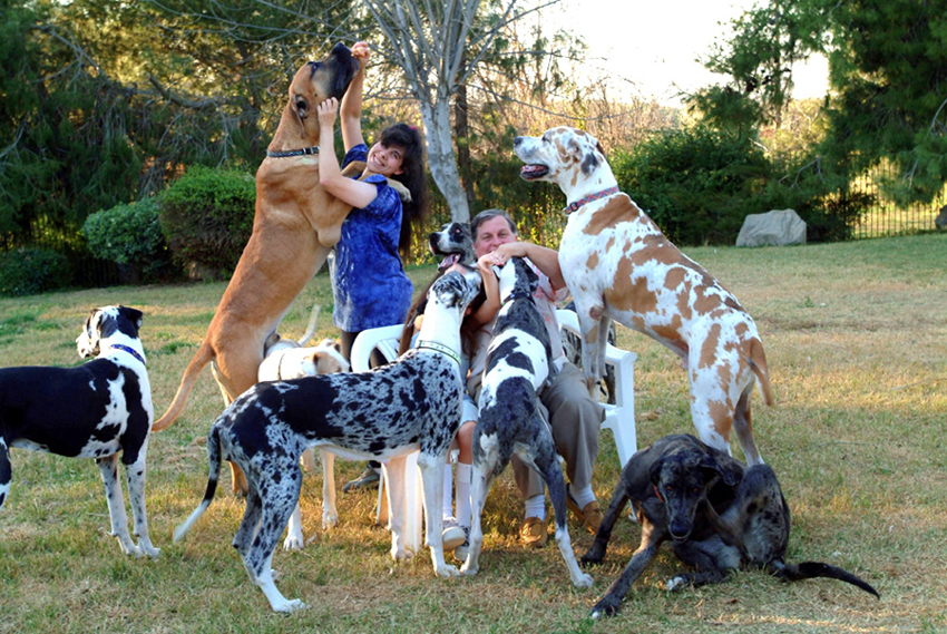 Tracy and Burt Ward With Dogs