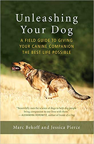 Unleashing Your Dog Book Cover