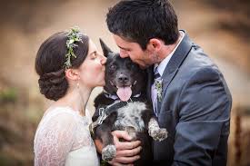 Bride and Groom with Dog