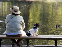 Woman and Dog on Bench