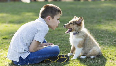 Talking Baby Talk To Pets