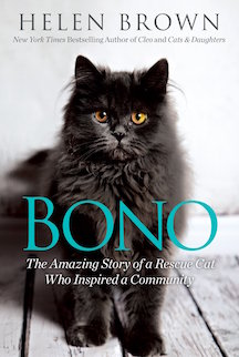 BONO Book Cover