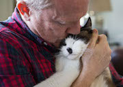 Man Hugging Cat