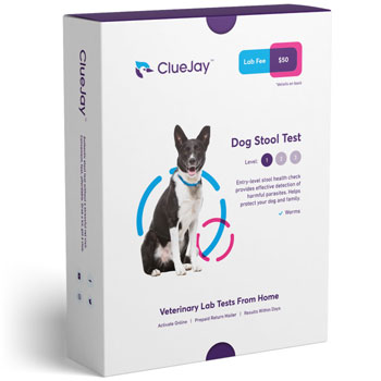 Clue Jay Testing Kit