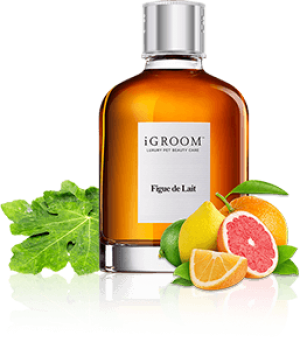 iGroom Dog Fragrance