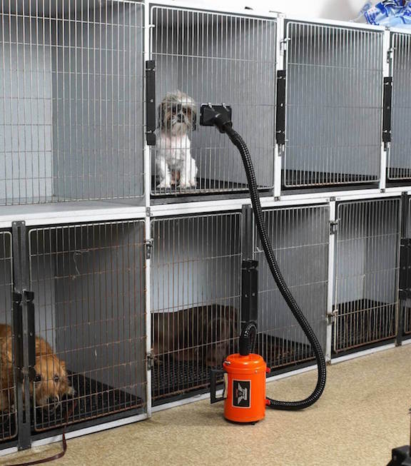 Kennel Dryer