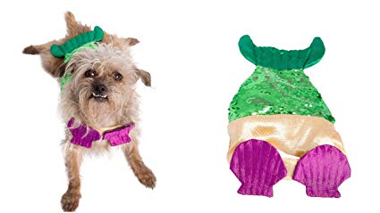 Dog in Mermaid Costume