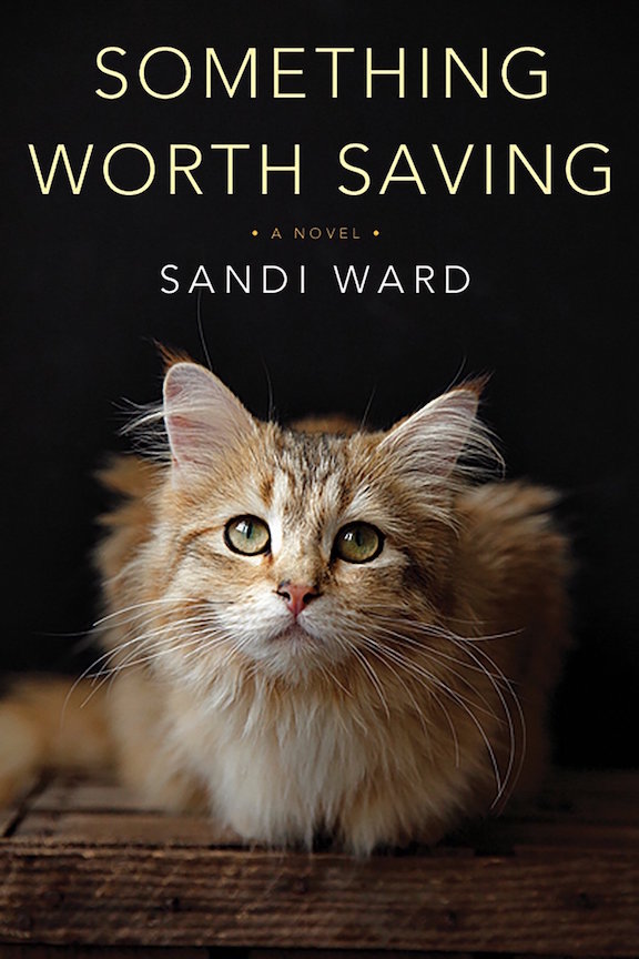 Something Worth Saving Book Cover