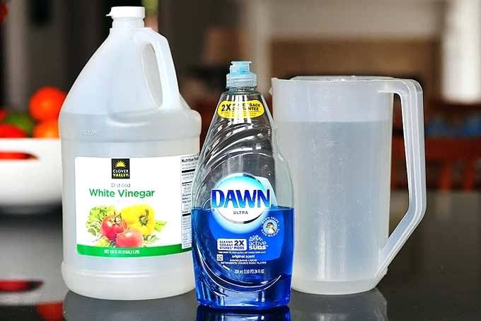 White Vinegar and Dawn Dish Detergent